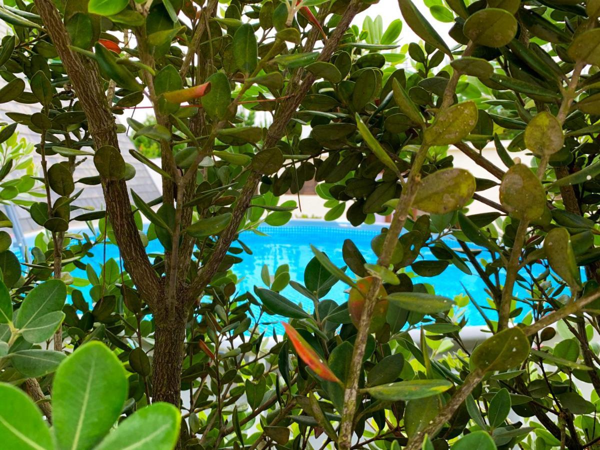 Beachliving Cabana Villa Esmoriz Buitenkant foto